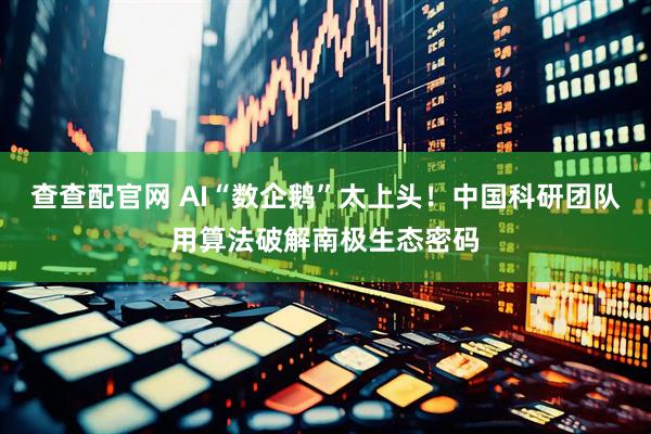 查查配官网 AI“数企鹅”太上头！中国科研团队用算法破解南极生态密码