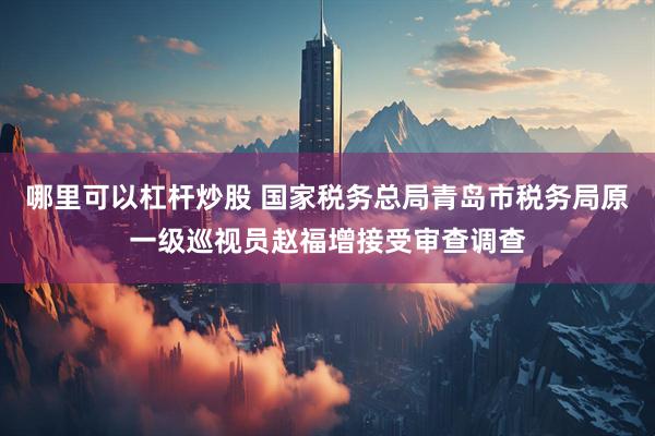 哪里可以杠杆炒股 国家税务总局青岛市税务局原一级巡视员赵福增接受审查调查